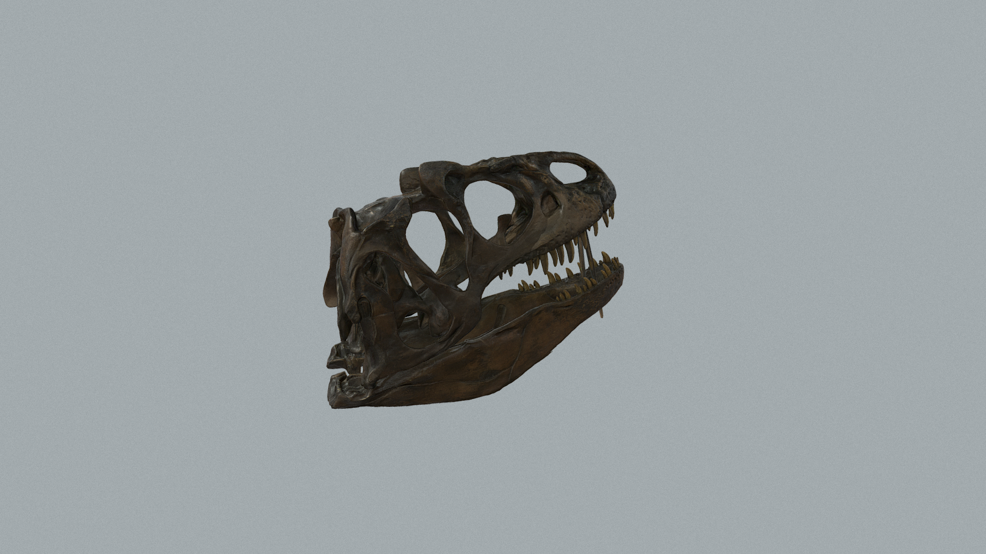 allosaur_skull