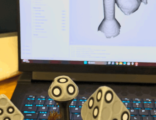 Spider Measuring: 3D Scanning for Ecological Research