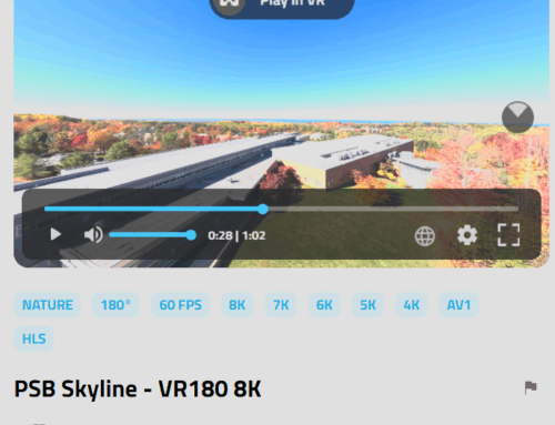 VR180 Videos: Immersive Media for Local Experiences